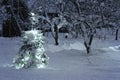 Christmas tree outside in snowy garden Royalty Free Stock Photo