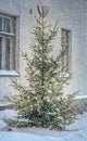 Christmas tree outside in snowy garden Royalty Free Stock Photo