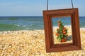 Christmas Tree and photographic frame