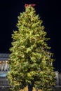 Christmas tree in Piazza Venezia, Rome, Italy Royalty Free Stock Photo