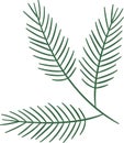 Christmas Tree Pine Branch Minimalist Royalty Free Stock Photo