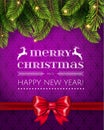 Christmas Tree Pine Branches on purple Background with red bow. Merry Christmas and Happy New Year greeting card Royalty Free Stock Photo