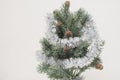 Christmas tree with pine cone Royalty Free Stock Photo