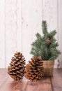 Christmas tree with pine cone on wooden background Royalty Free Stock Photo