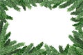 Christmas tree. Pine. Watercolor green branches on a white background. Banner. Place for text. The basis for an Royalty Free Stock Photo
