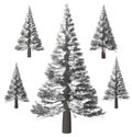 Christmas tree, Pine. Winter forrest tree background. 3D Illustration