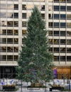 Christmas Tree on Pioneer Court Royalty Free Stock Photo