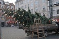 Christmas tree places at christiasnhavn torv in capital