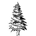 Christmas tree in a pot in outline. Stars, garlands and balls. Xmas greeting card