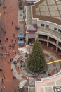Christmas Tree at Quincy Market, Boston