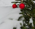 Christmas Tree with red Balls and Snow on it Royalty Free Stock Photo