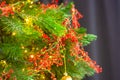 Christmas tree with red garlands Royalty Free Stock Photo