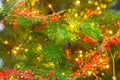 Christmas tree with red garlands Royalty Free Stock Photo