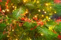 Christmas tree with red garlands Royalty Free Stock Photo