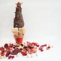 Christmas tree and red potpourri. White background Royalty Free Stock Photo