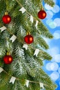 Christmas tree with red toy balls on a light blue background with bokeh lights Royalty Free Stock Photo