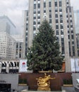 Christmas Tree At Rockefeller Center