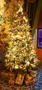 A Christmas tree in a room in the Royal Pavilion.