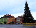 Christmas tree, Royal Castle, ancient colorful townhouses and Sigismund`s Column in Old town Royalty Free Stock Photo