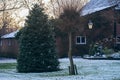 Christmas tree in rural winter front yard.