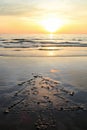 Christmas tree on the sand beach on sunset. Royalty Free Stock Photo