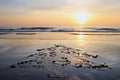 Christmas tree on the sand beach on sunset. Royalty Free Stock Photo