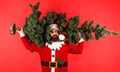 Christmas tree. Santa Claus carrying fir-tree. Man in Santa costume with pine tree. Winter holidays. Merry Christmas
