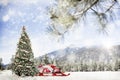 Snowy Outdoor Christmas Tree Scene in Mountains Royalty Free Stock Photo