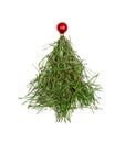 Christmas Tree Shape Made of Fir Needles Isolated Royalty Free Stock Photo