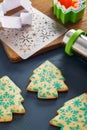 Christmas tree shaped cookies with snowflakes pattern, stencil, cookie cutters, rolling pin, cutting board on a baking mat