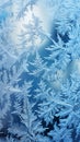 Christmas Tree shaped frost on window pane