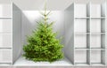 Christmas tree on the shelf