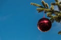 A Christmas tree and shining Christmas tree balls