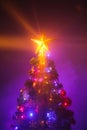 Christmas tree with shining star Royalty Free Stock Photo