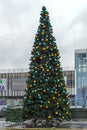 Christmas Tree Shopping Mall Royalty Free Stock Photo