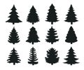 Christmas Tree Silhouette Vector For decorating with gifts and stars on Christmas Eve Royalty Free Stock Photo