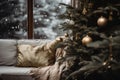 a christmas tree sits in front of a window in front of a christmas tree