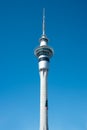 Christmas Tree on Skytower