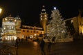 Christmas Tree in a Small village in the French Alps