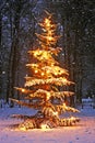 Christmas tree in the snow in the countryside from the Netherlands