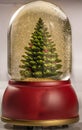 Christmas tree snow globe Royalty Free Stock Photo