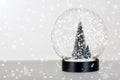 Christmas tree snow globe Royalty Free Stock Photo