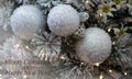 A Christmas tree with snow and ice