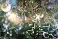 Christmas Tree Snowflakes Background Royalty Free Stock Photo