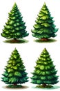 Christmas tree (spruce) illustration, cartoon style, isolated on white background. Variations set