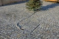 Christmas tree in the square. The connection of the decoration lights is a cable through the cover where the electricity switchboa