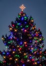 Christmas Tree stands tall at dusk taken with star filter Royalty Free Stock Photo