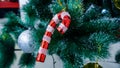 Christmas tree stick ornament blur photoshoot Royalty Free Stock Photo