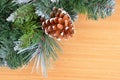 Christmas tree and strobile Royalty Free Stock Photo