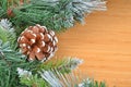 Christmas tree and strobile Royalty Free Stock Photo
